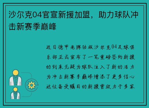 沙尔克04官宣新援加盟，助力球队冲击新赛季巅峰